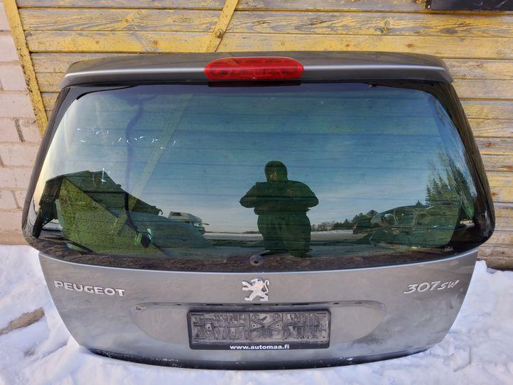 PEUGEOT 307 1 generation (2001-2008) Задній багажник 18000289